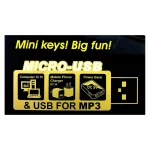 ارگ آموزشی BigFun BF-630A2 | ارگ کودک ۶۱ کلید با میکروفون - تصویر 5