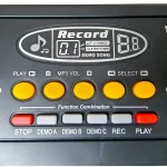 ارگ کودک BigFun BF-430A2 - تصویر 9